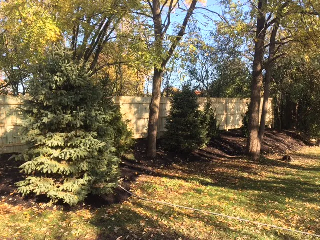Trees, fence and privacy landscaping in Caledonia - Caledonia, WI