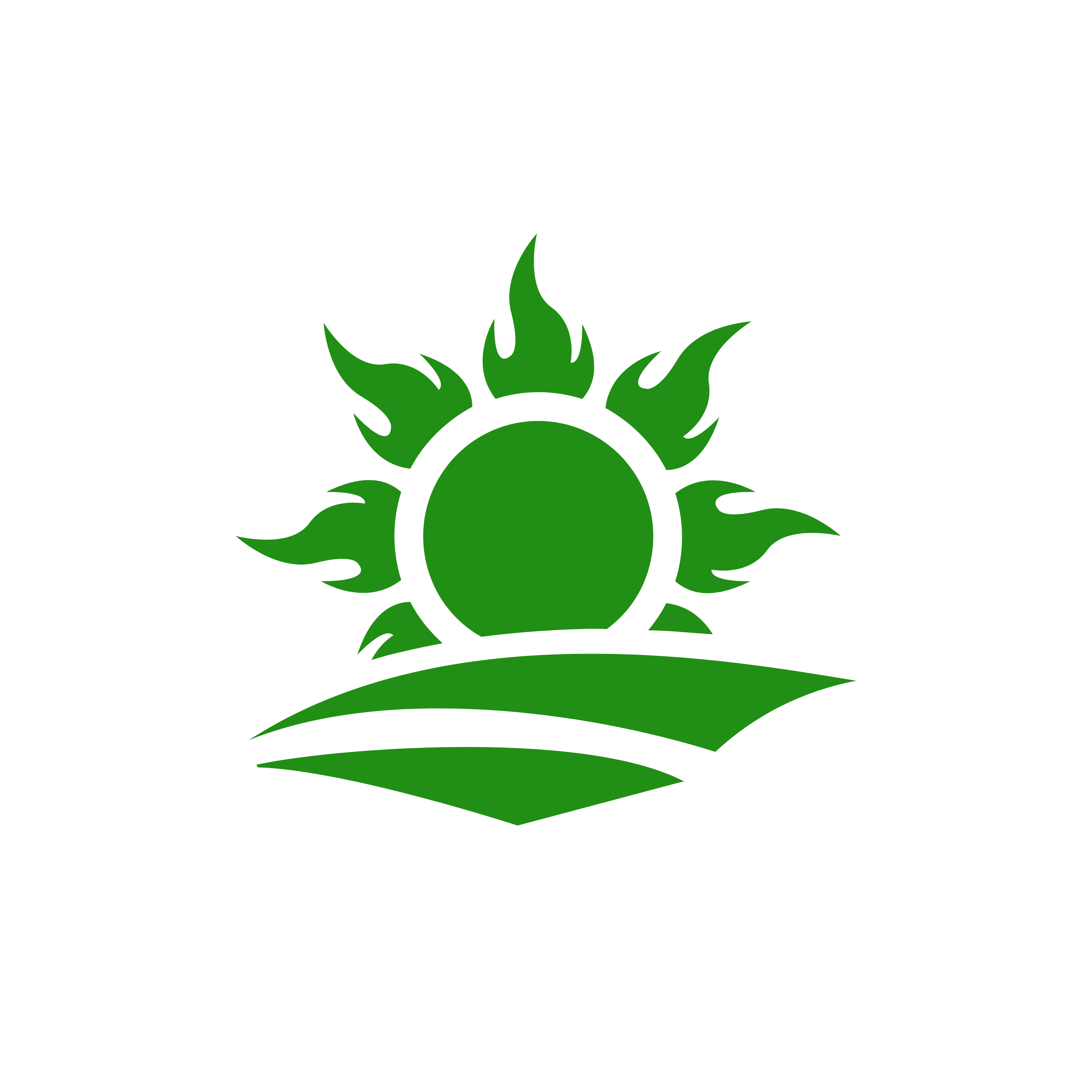 Landscapes By Tony Norton