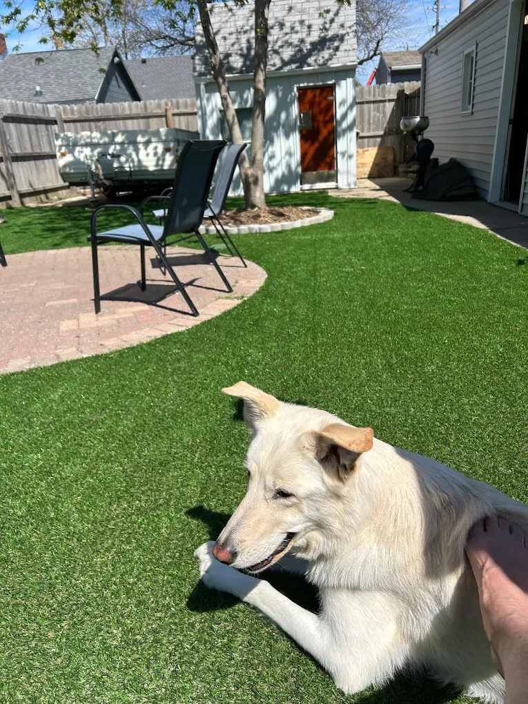 Artificial Turf Installation - Kenosha, WI